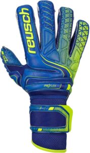 Reusch Attrakt G3 Fusion Evolution Ortho-Tec Defender Goalkeeper Glove