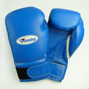 blue winning boxing gloves