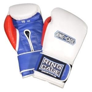 Ring To Cage Japanese Boxing Gloves