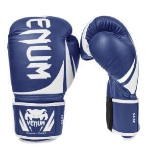 Boxing Gloves Venum